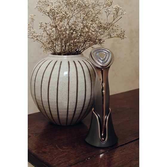 Anti-age uređaj All-In-One za njegu lica BEEA Beauty Total REVIVE, RF, EMS, LED, InfraRed, ION, Hot&Cold , mikrostruja, sonic, Premium